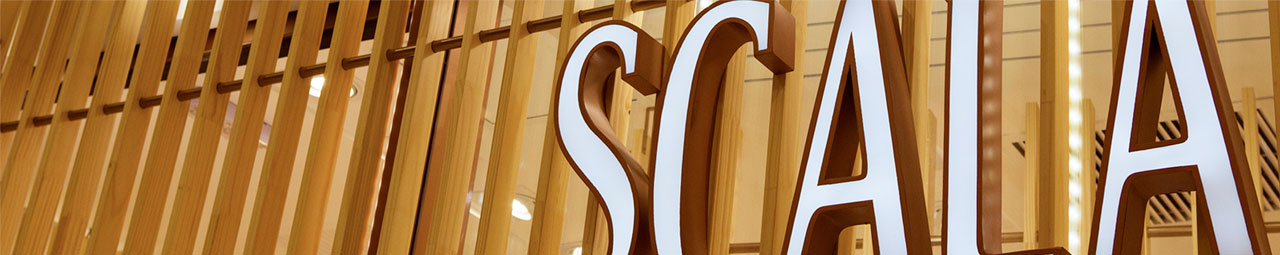Banner Franquias